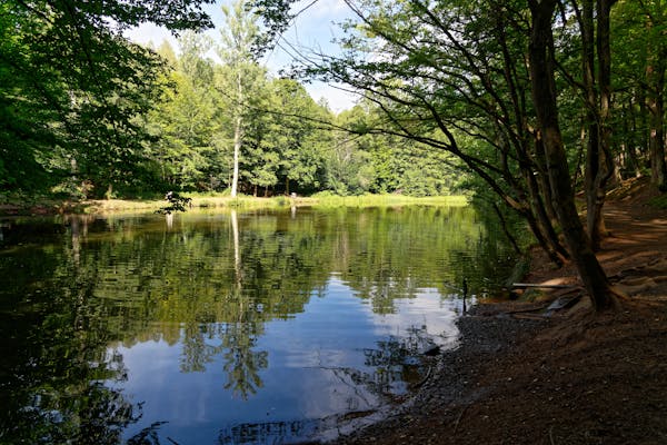 Lac de Vassiviere